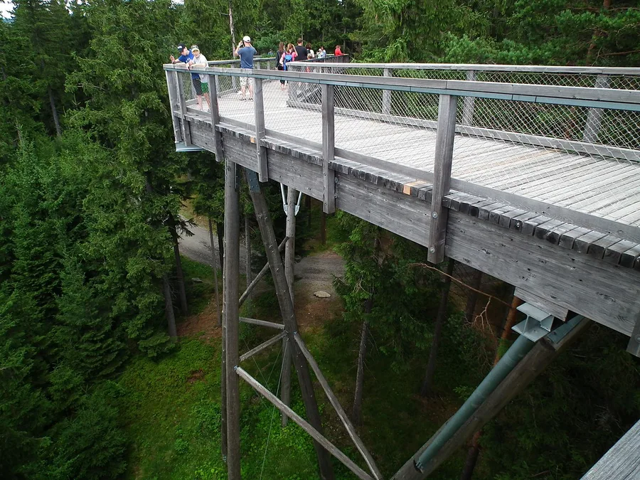 Treetop Trail Lipno